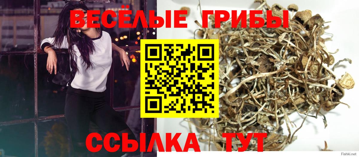 Гатчина  Галлюциногенные грибы Magic Shrooms  Вход с VPN 