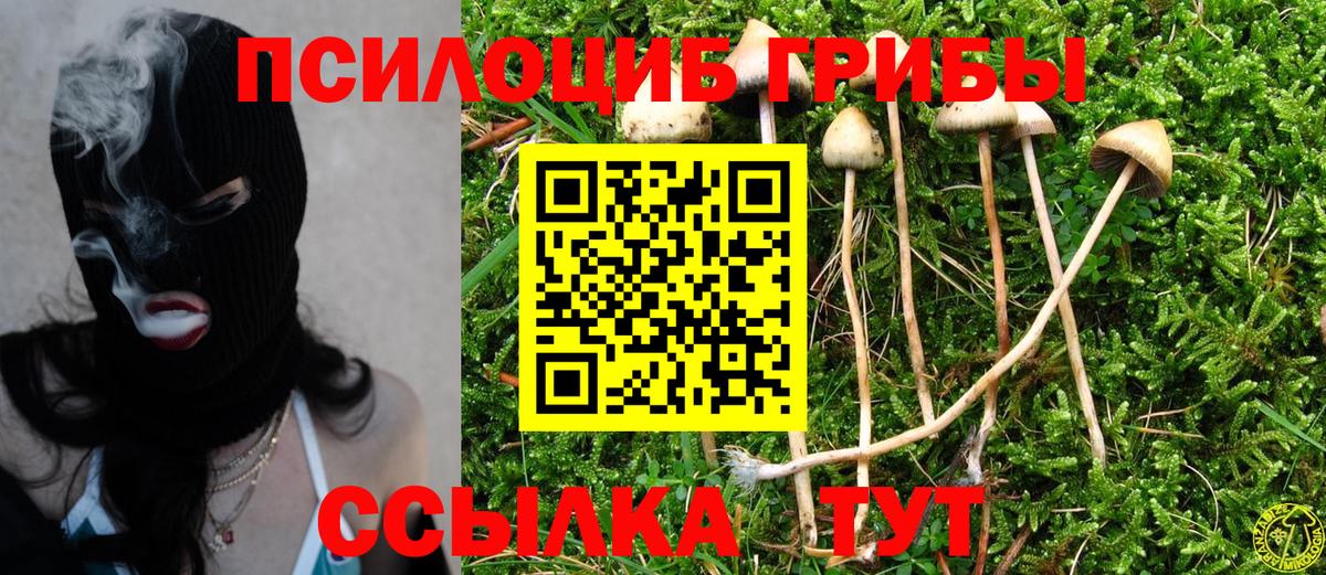 Галлюциногенные грибы мухоморы Гатчина